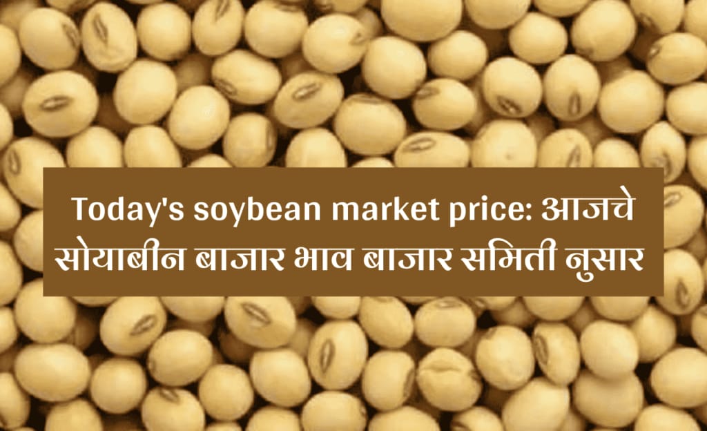 Soyabean price in Maharashtra